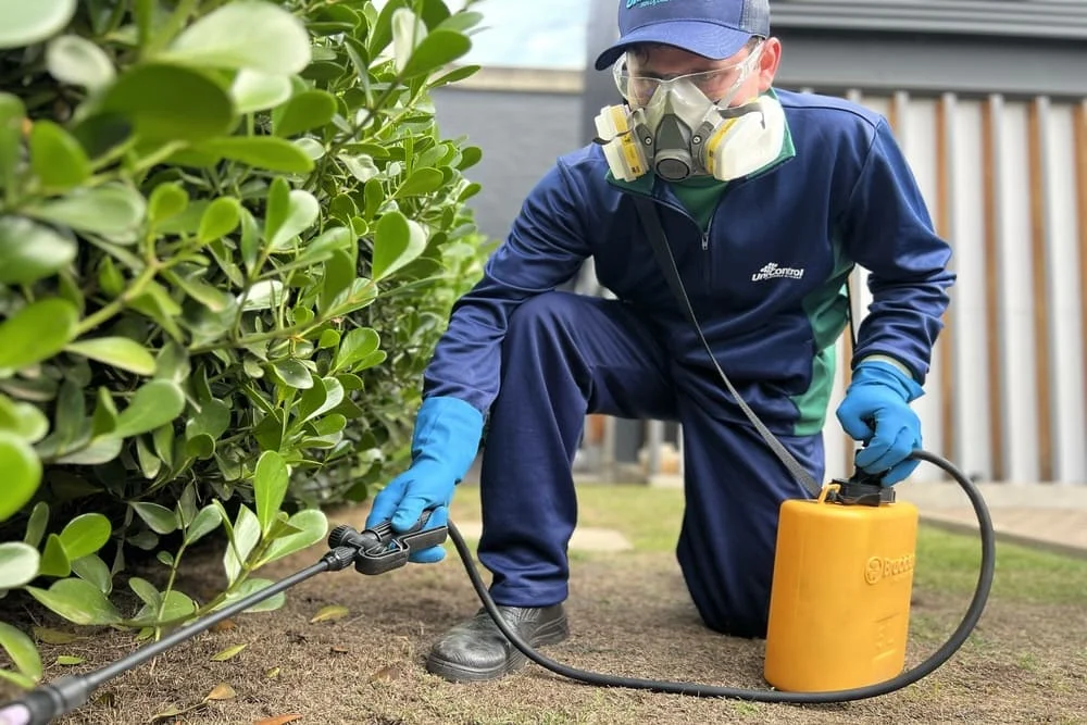 Outros Serviços de Dedetização em Santos